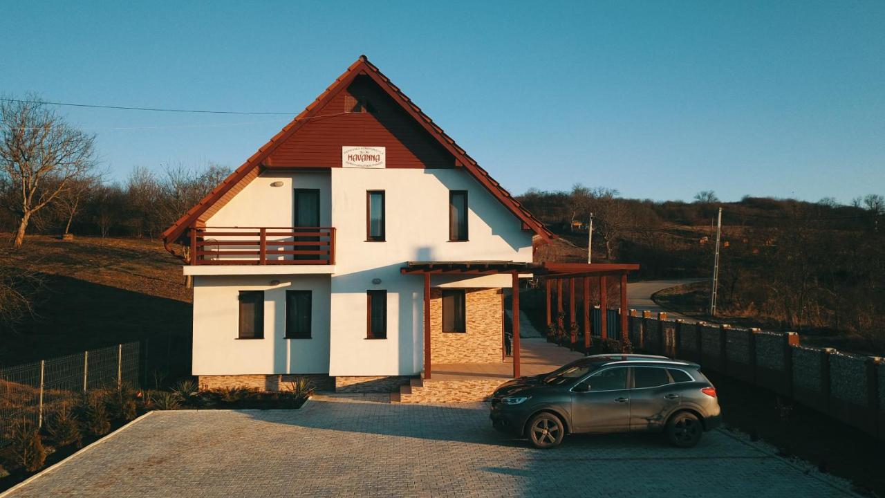 Farm stay Pensiunea Agroturistica Havanna