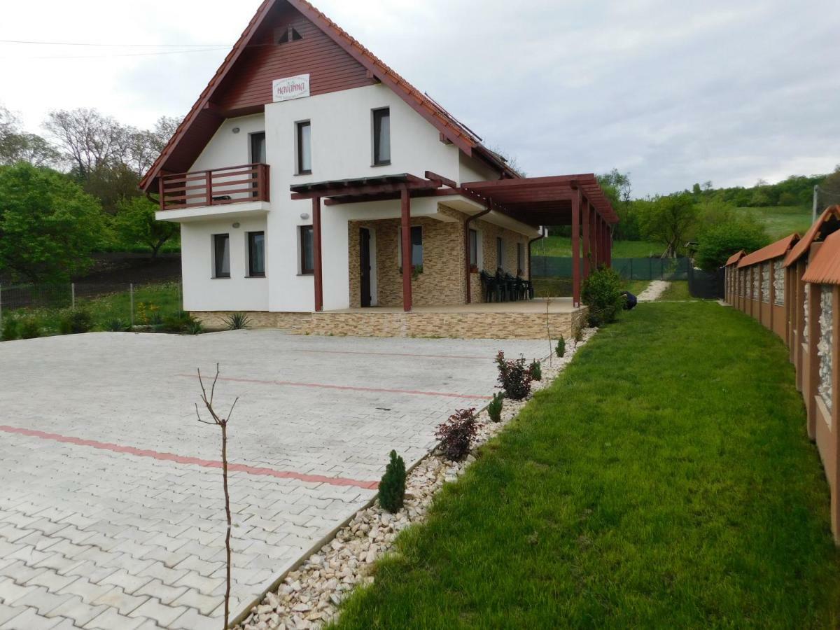 Pensiunea Agroturistica Havanna Farm stay *